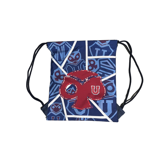 Morral Universidad de Chile